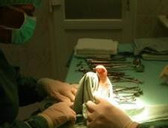 Soukromé odborné zdravotnické zařízení