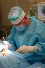 321 small